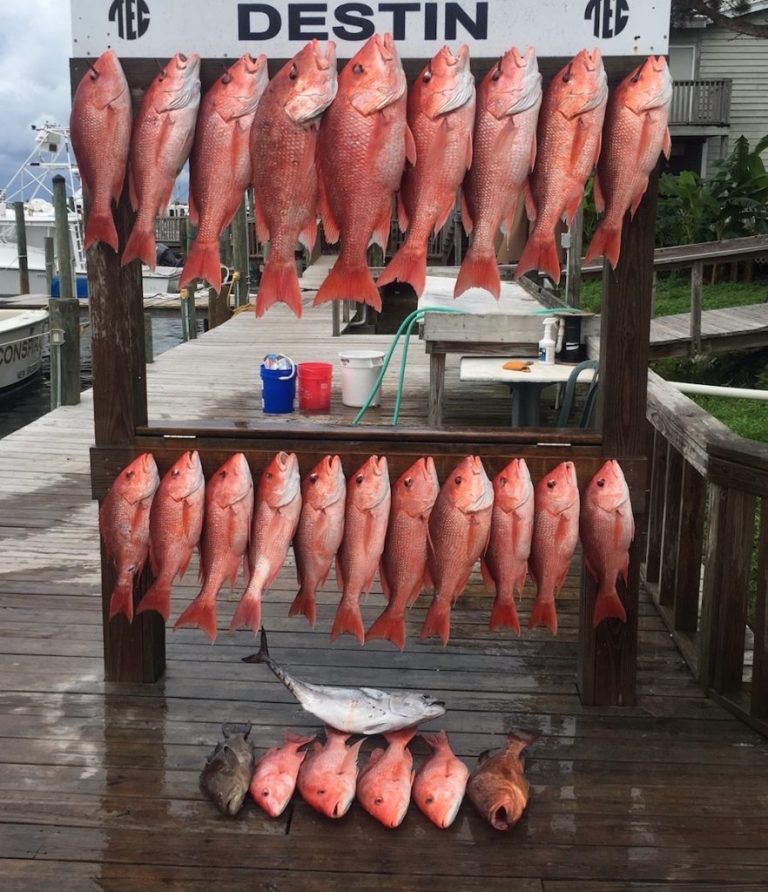 Enjoy Snapper Season in Destin The Cottages By The Bay
